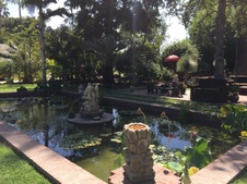 Enlarge photo 30