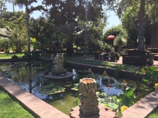 Enlarge photo 31