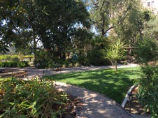 Enlarge photo 46