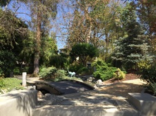 Enlarge photo 61