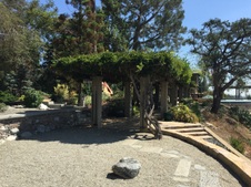 Enlarge photo 65