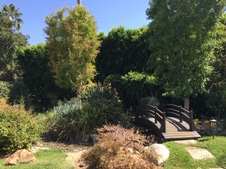 Enlarge photo 110