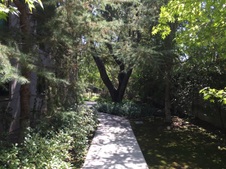 Enlarge photo 11