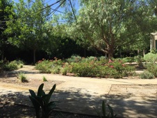 Enlarge photo 73