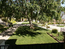 Enlarge photo 35
