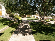 Enlarge photo 43