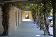 Enlarge photo 14