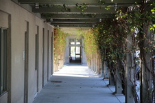 Enlarge photo 16