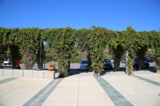 Enlarge photo 30