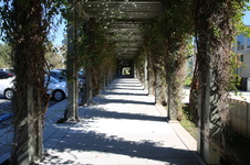Enlarge photo 37
