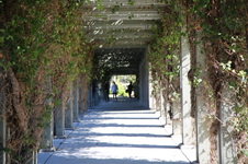 Enlarge photo 38