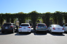 Enlarge photo 44