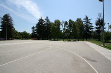 Enlarge photo 85