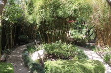 Enlarge photo 53