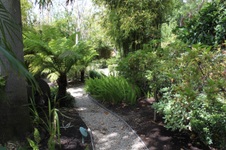 Enlarge photo 59