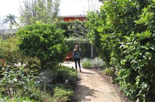 Enlarge photo 116