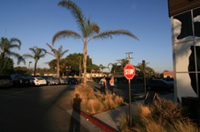 Enlarge photo 45