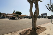 Enlarge photo 44