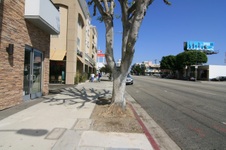 Enlarge photo 47
