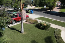 Enlarge photo 4