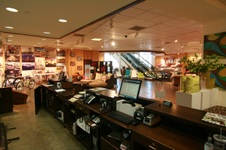 Enlarge photo 61