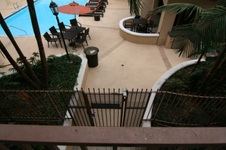 Enlarge photo 41