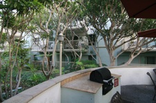 Enlarge photo 43