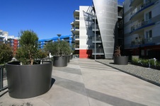Enlarge photo 37