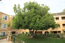 Enlarge photo 33