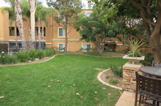 Enlarge photo 35