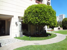 Enlarge photo 117