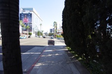 Enlarge photo 33