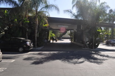 Enlarge photo 67