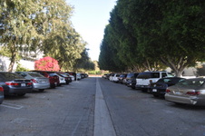 Enlarge photo 105