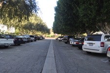 Enlarge photo 106