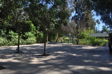 Enlarge photo 111