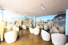 Enlarge photo 33