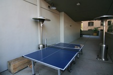 Enlarge photo 175