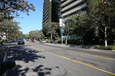 Enlarge photo 81