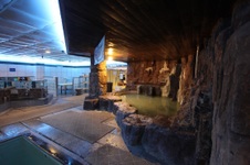 Enlarge photo 5