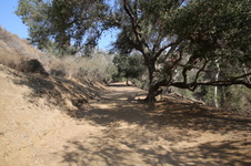 Park Trails