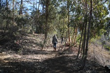 Enlarge photo 3