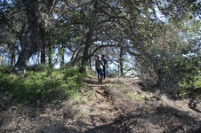 Enlarge photo 4