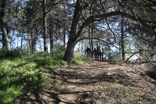 Enlarge photo 5