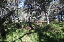 Enlarge photo 6