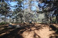 Enlarge photo 7