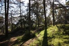 Enlarge photo 8
