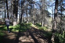 Enlarge photo 9