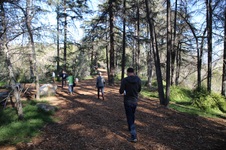Enlarge photo 10