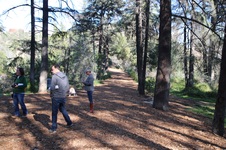 Enlarge photo 11